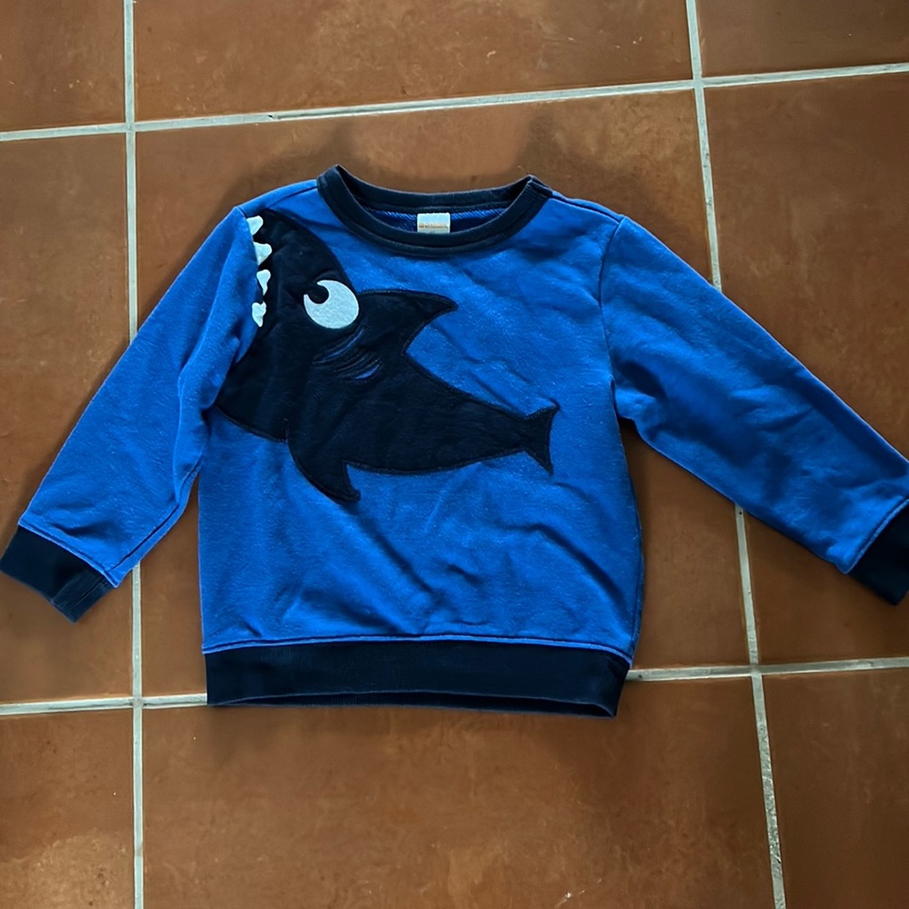 Boys sweatshirt